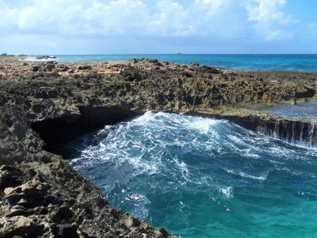 Aruba Cunucu Residence Palm Beach Екстер'єр фото